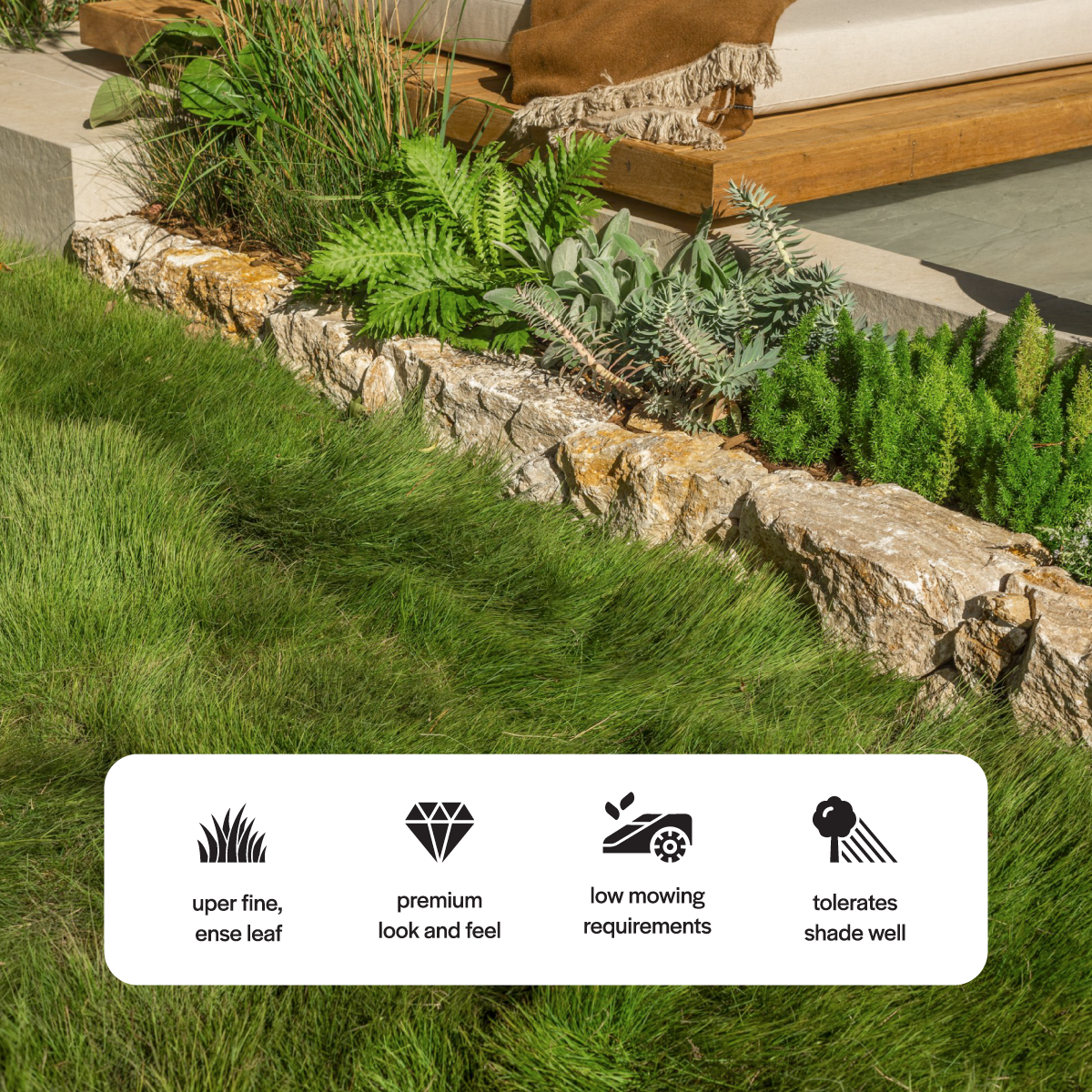 Lush green lawn with decorative stone border and garden elements, featuring text icons about grass characteristics.