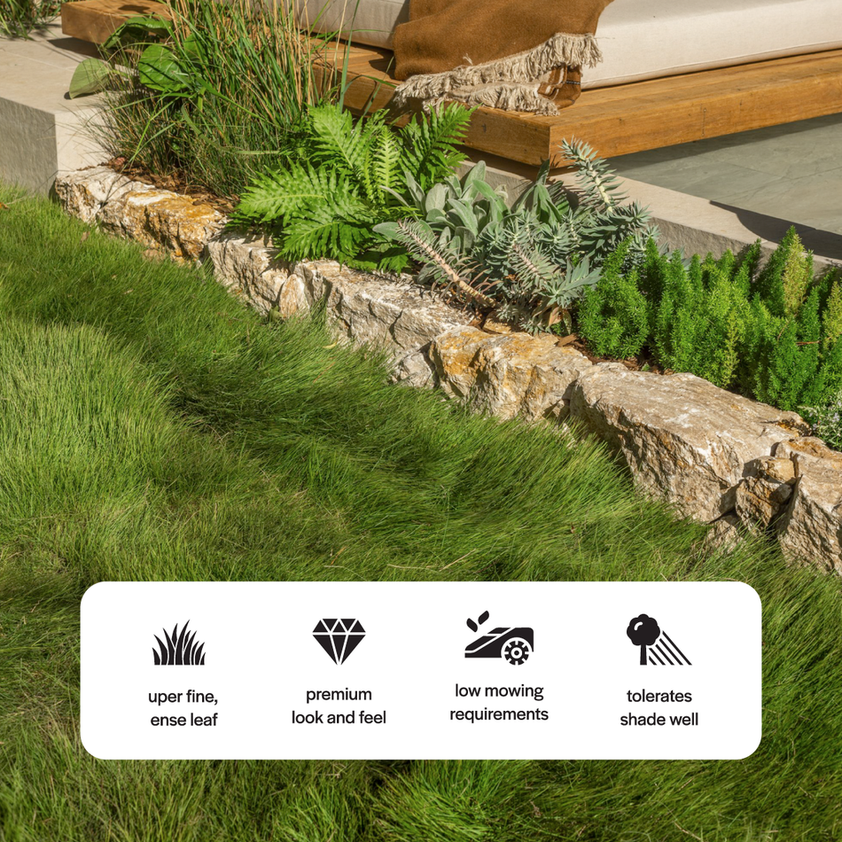 Lush green lawn with decorative stone border and garden elements, featuring text icons about grass characteristics.