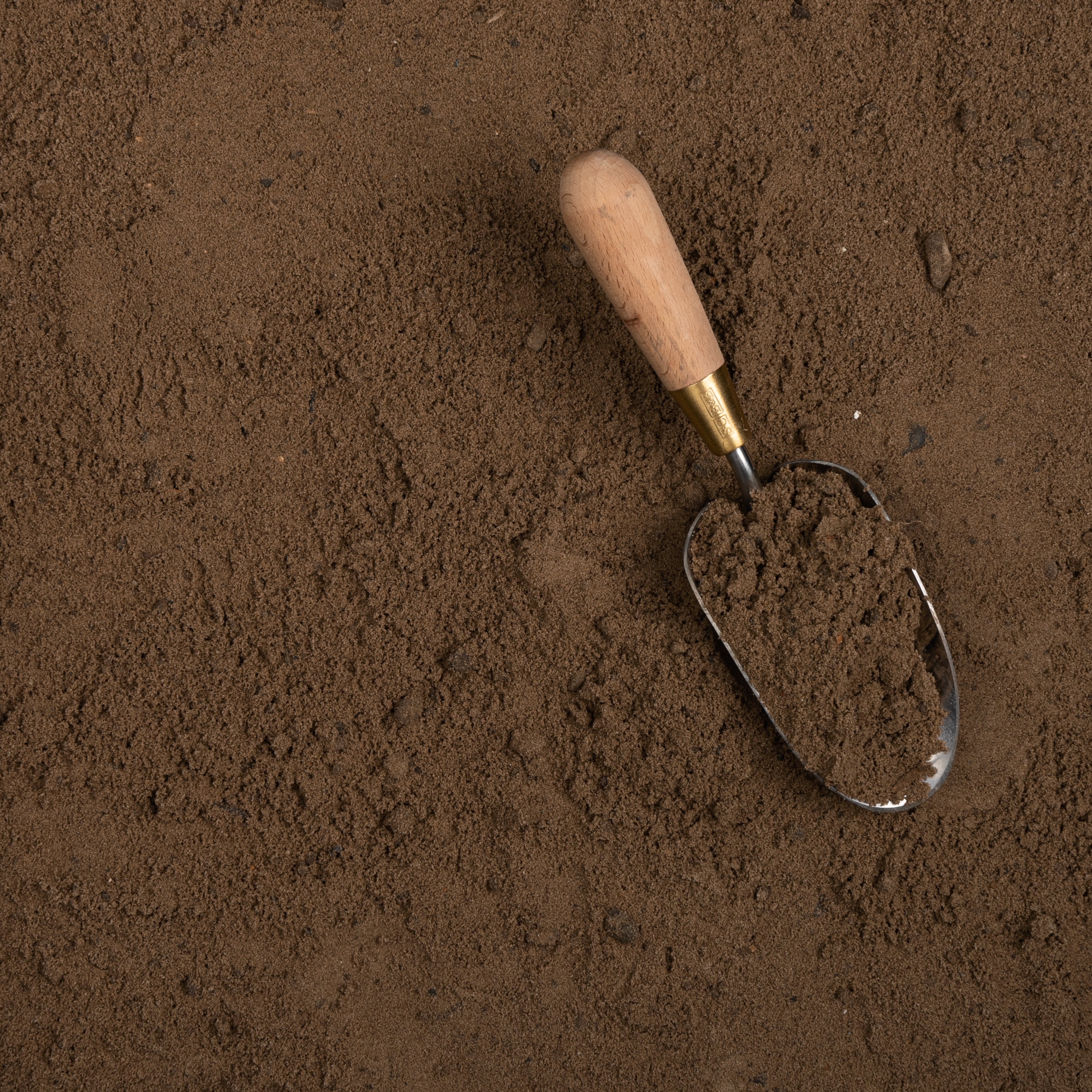 Small shovel with wooden handle and metal scoop in brown soil