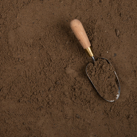 Small shovel with wooden handle and metal scoop in brown soil