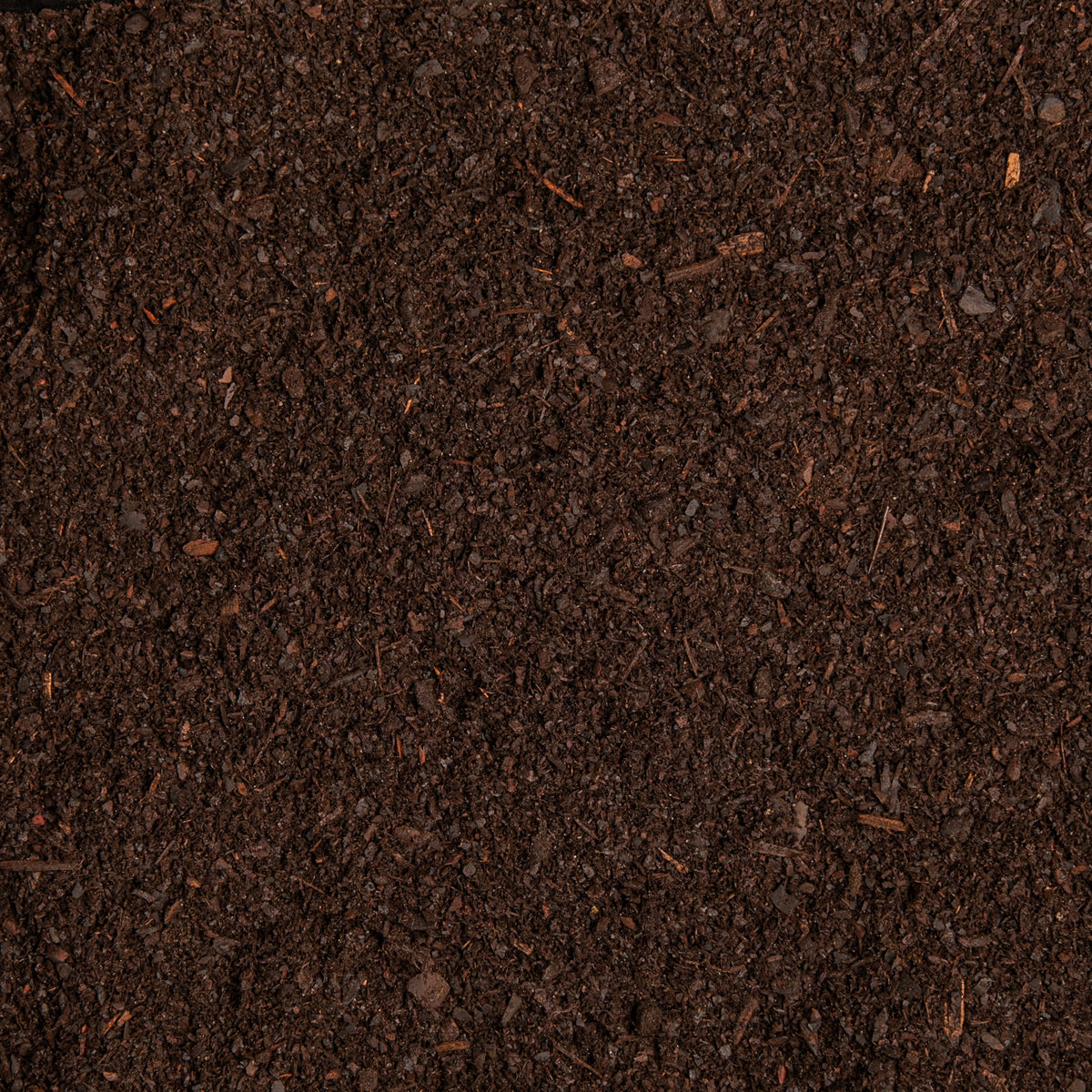 Close-up of dark brown soil texture