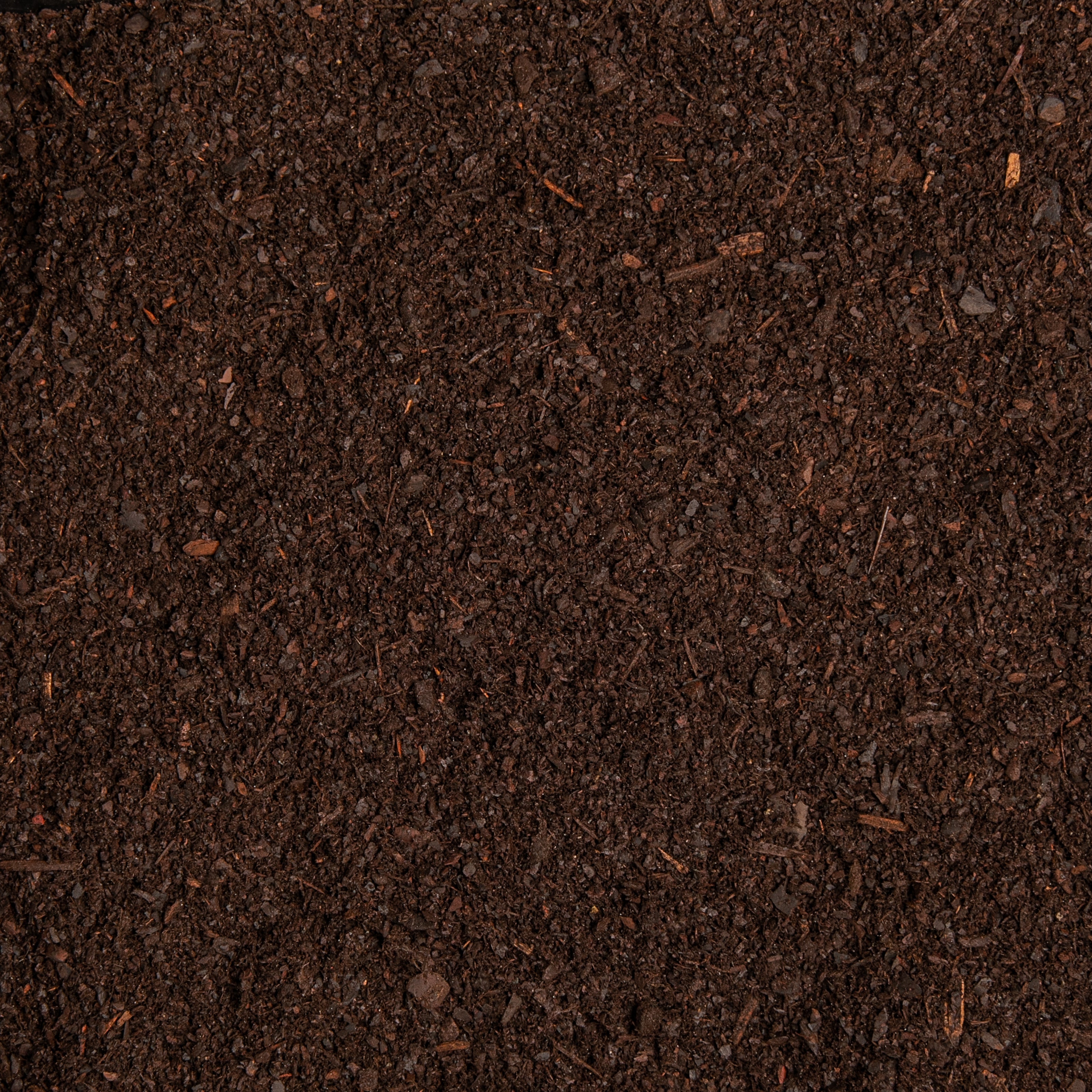 Close-up of dark brown soil texture