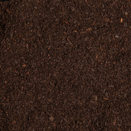 Close-up of dark brown soil texture