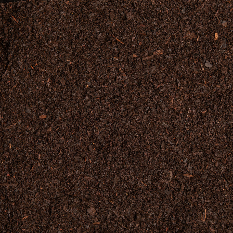 Close-up of dark brown soil texture