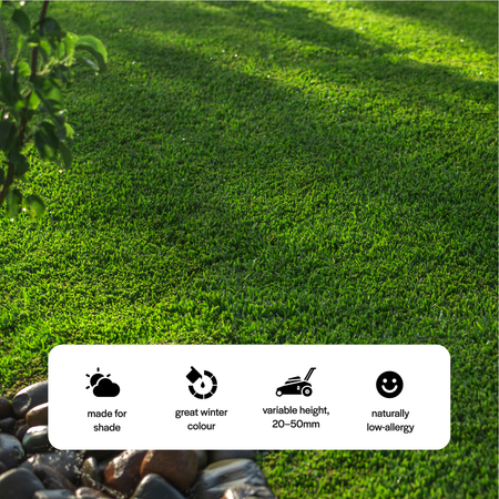 Twin View Turf Stampede Hybrid Buffalo Turf displaying lush, green synthetic grass designed for durable, natural-looking sports and landscape use.