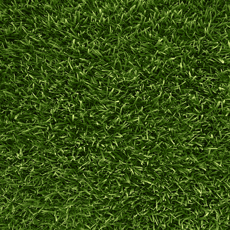 Zoysia Australis Turf Clos up