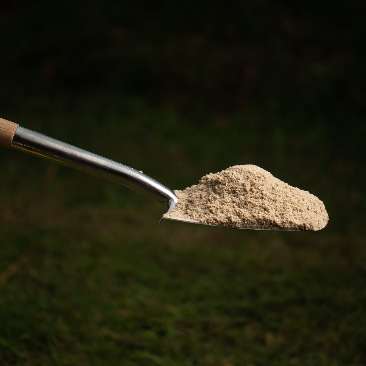 metal shovel holding sand on a grassy background