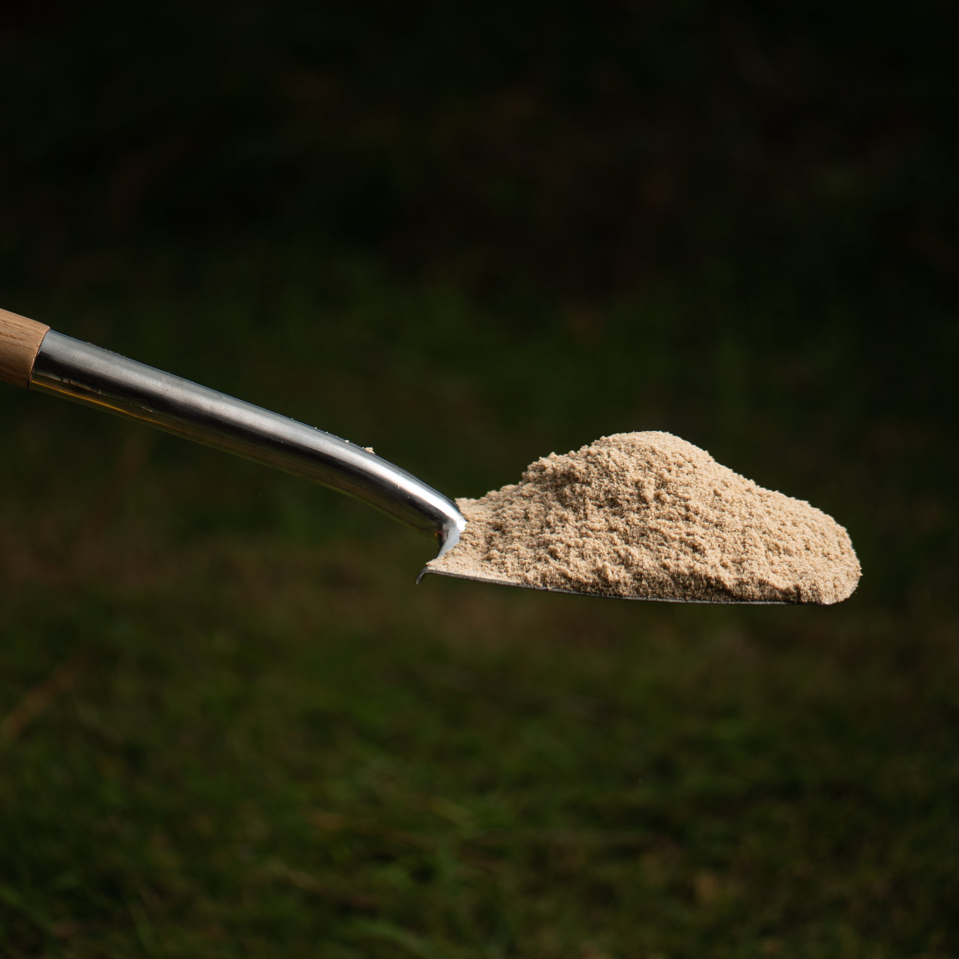 metal shovel holding sand on a grassy background