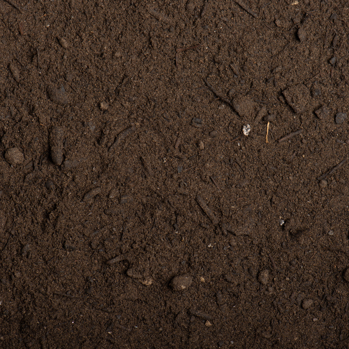 Close-up of dark brown soil texture