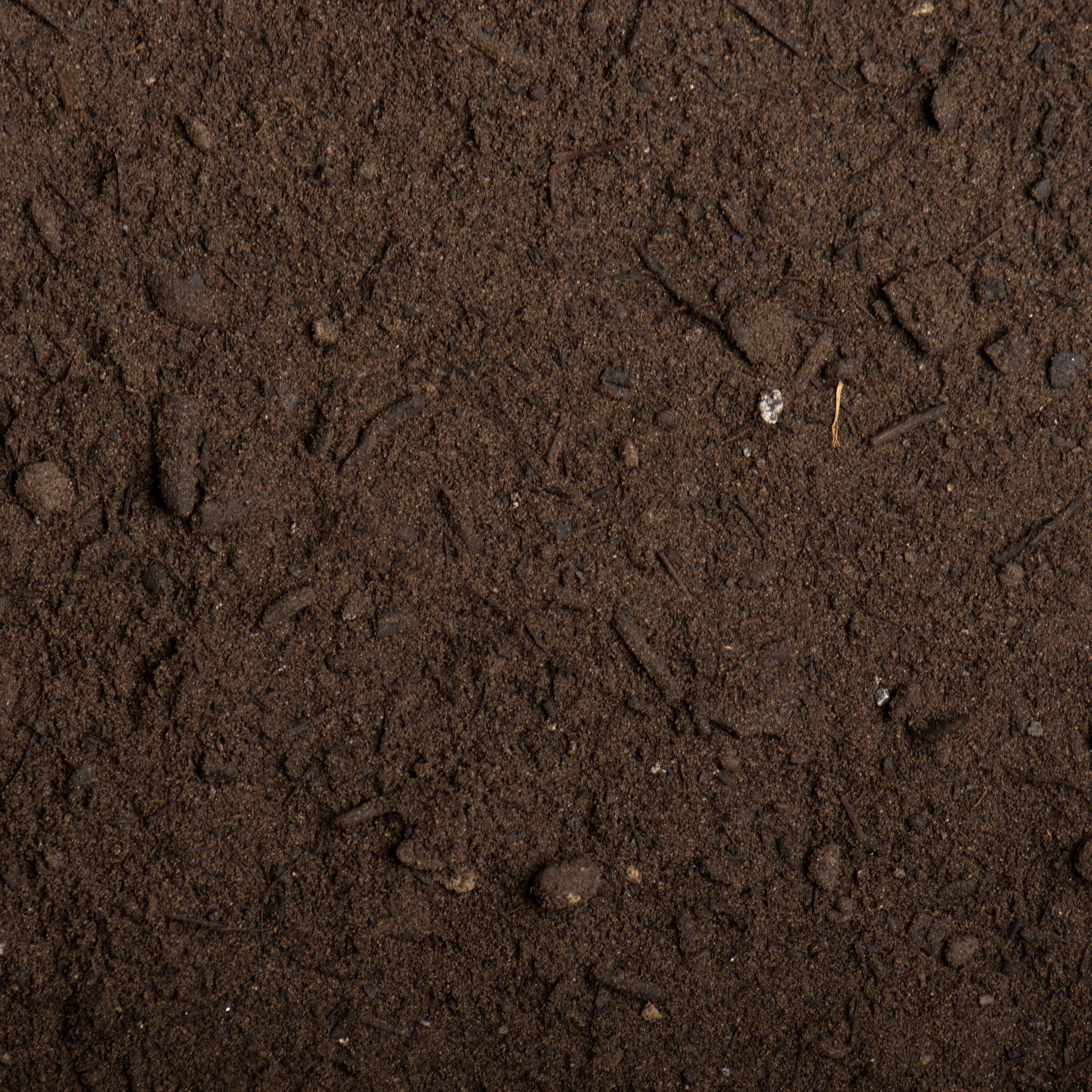 Close-up of dark brown soil texture