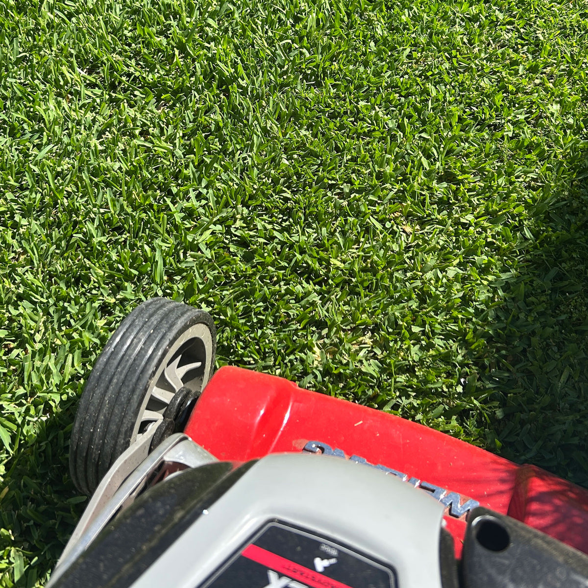 Twin View Turf Stampede Hybrid Buffalo Turf showing lush, green synthetic grass with realistic texture and dense foliage.