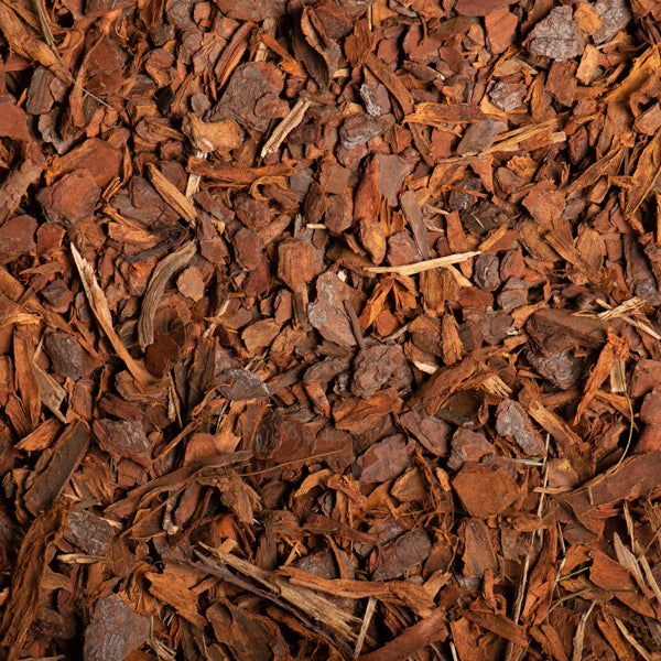 Slash 1 inch Pine Bark (25mm)