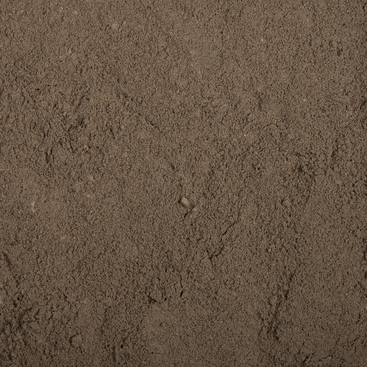 Close-up of sandy texture