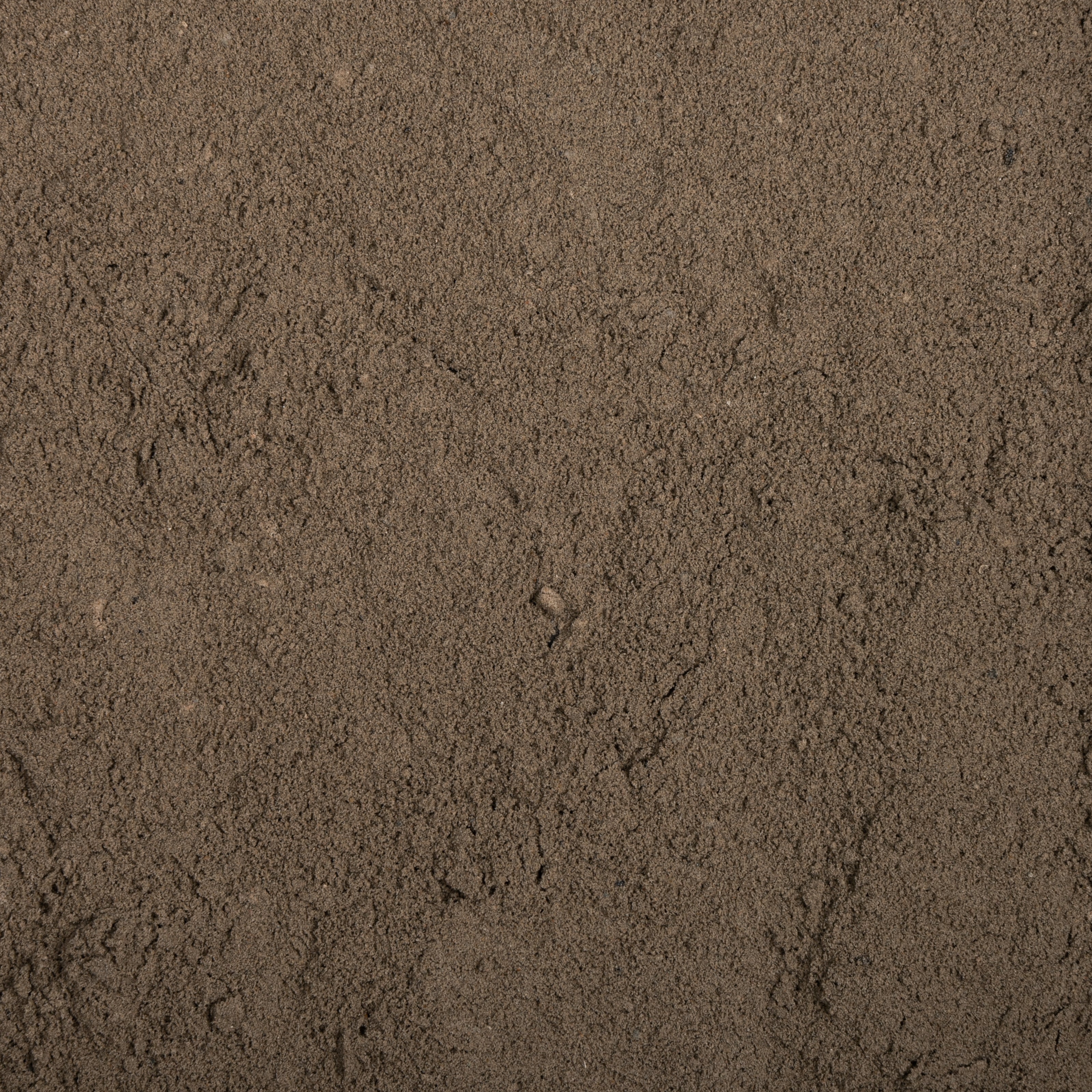 Close-up of sandy texture