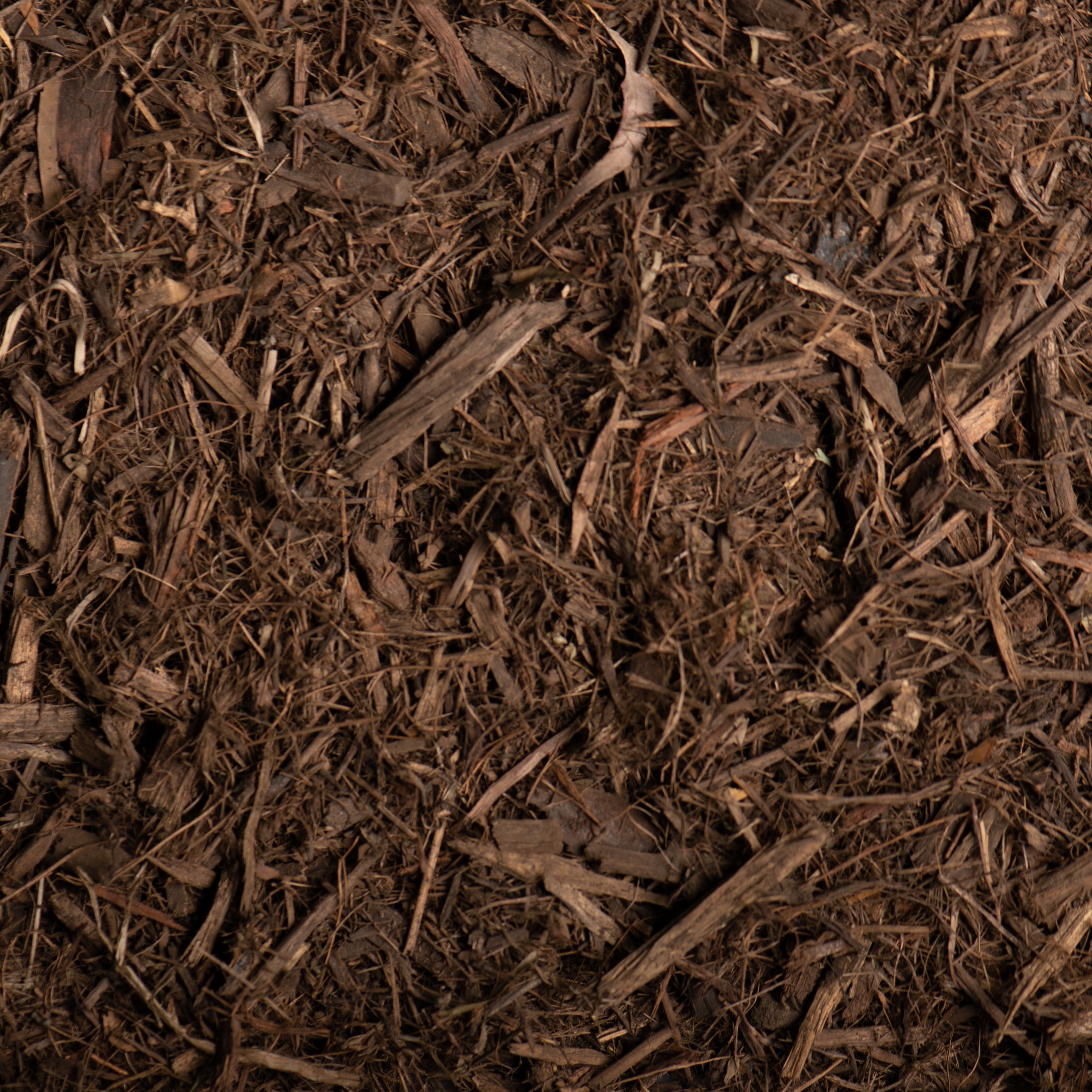 Close-up of brown mulch with small sticks and leaves