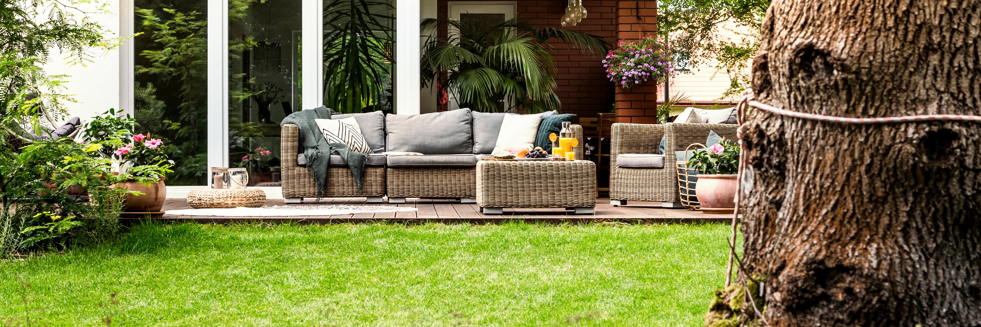 Backyard scene with lounge and grass