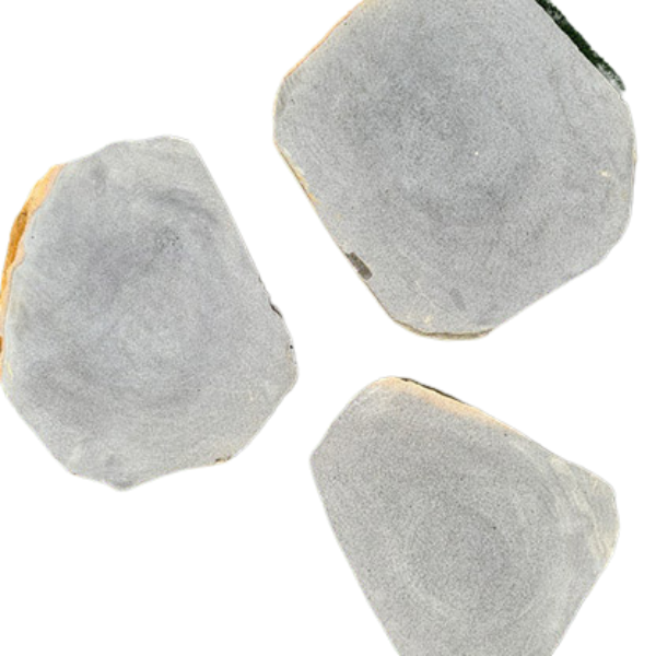 Kashmiri-Bluestone Organic Round Steppers