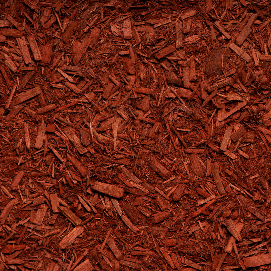 Cherry Red Cypress Mulch
