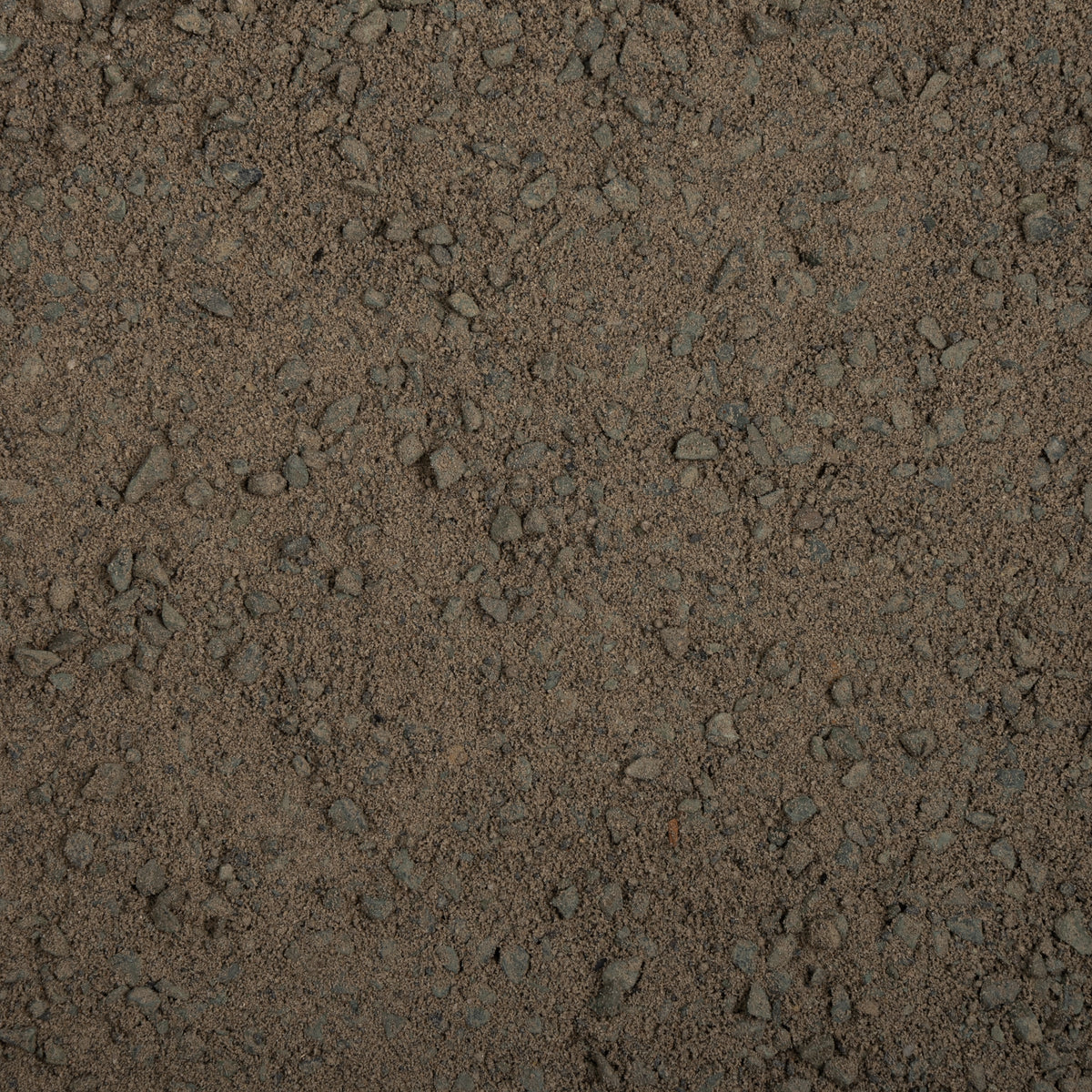 Close-up of textured brown surface with small stones