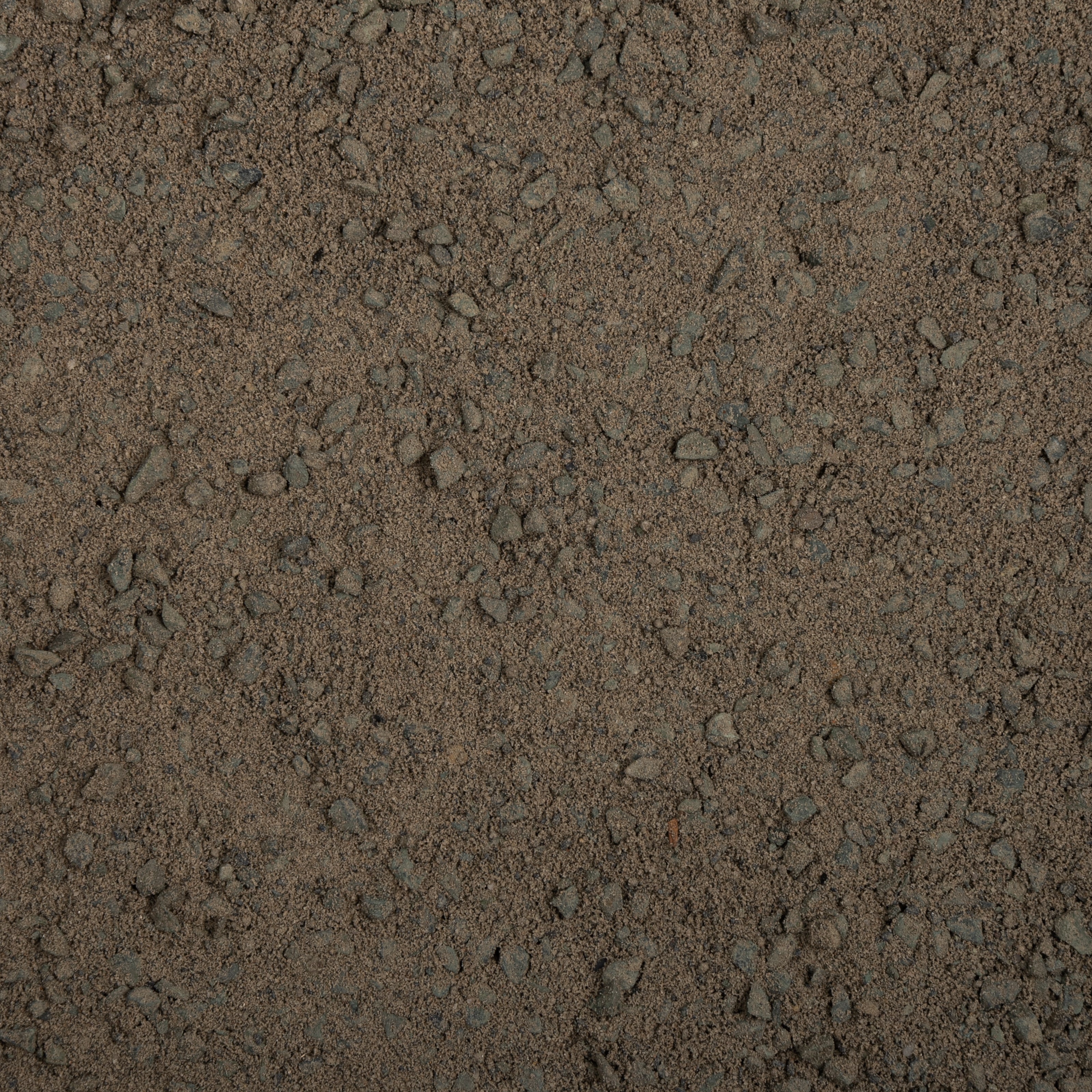 Close-up of textured brown surface with small stones