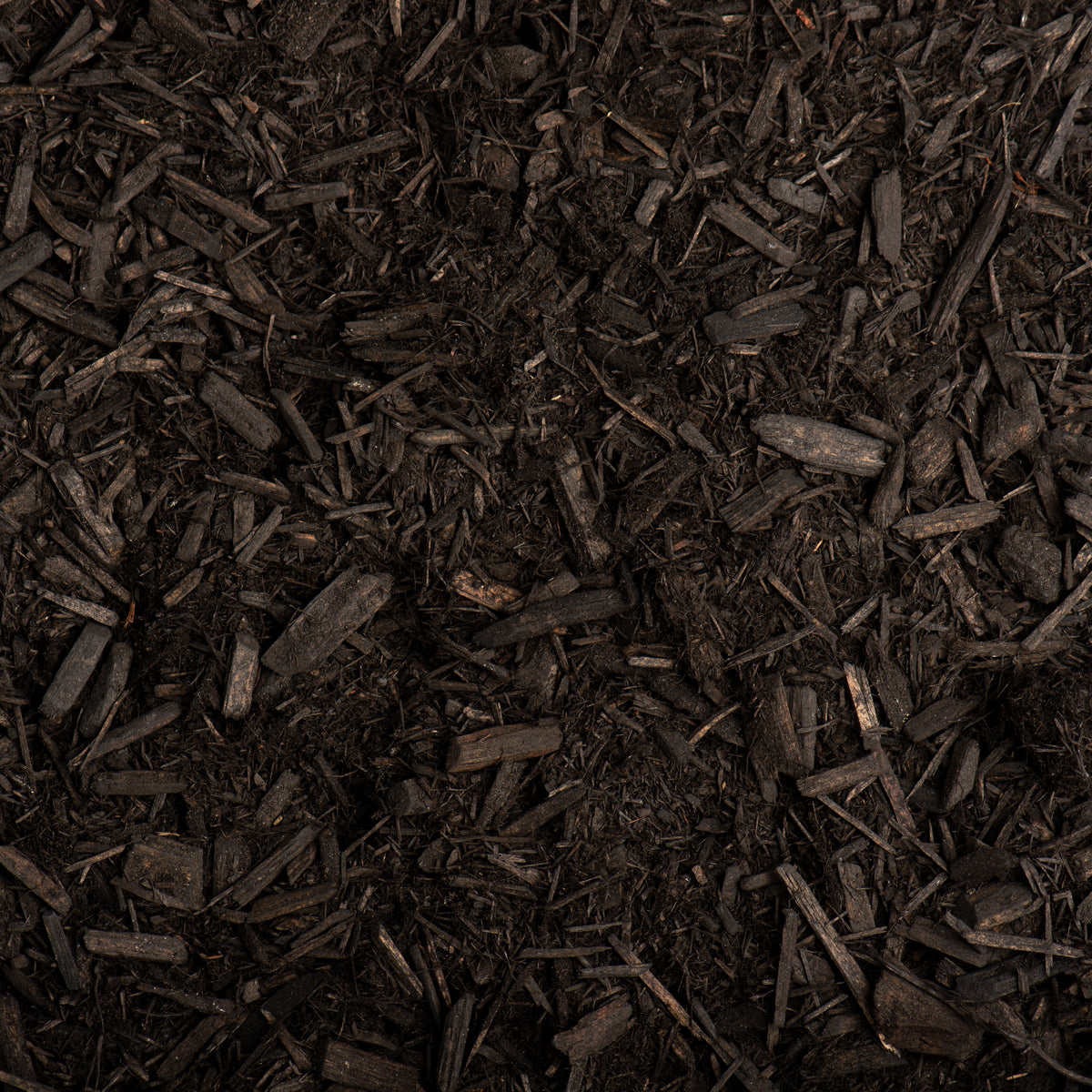 Close-up of dark brown mulch or compost
