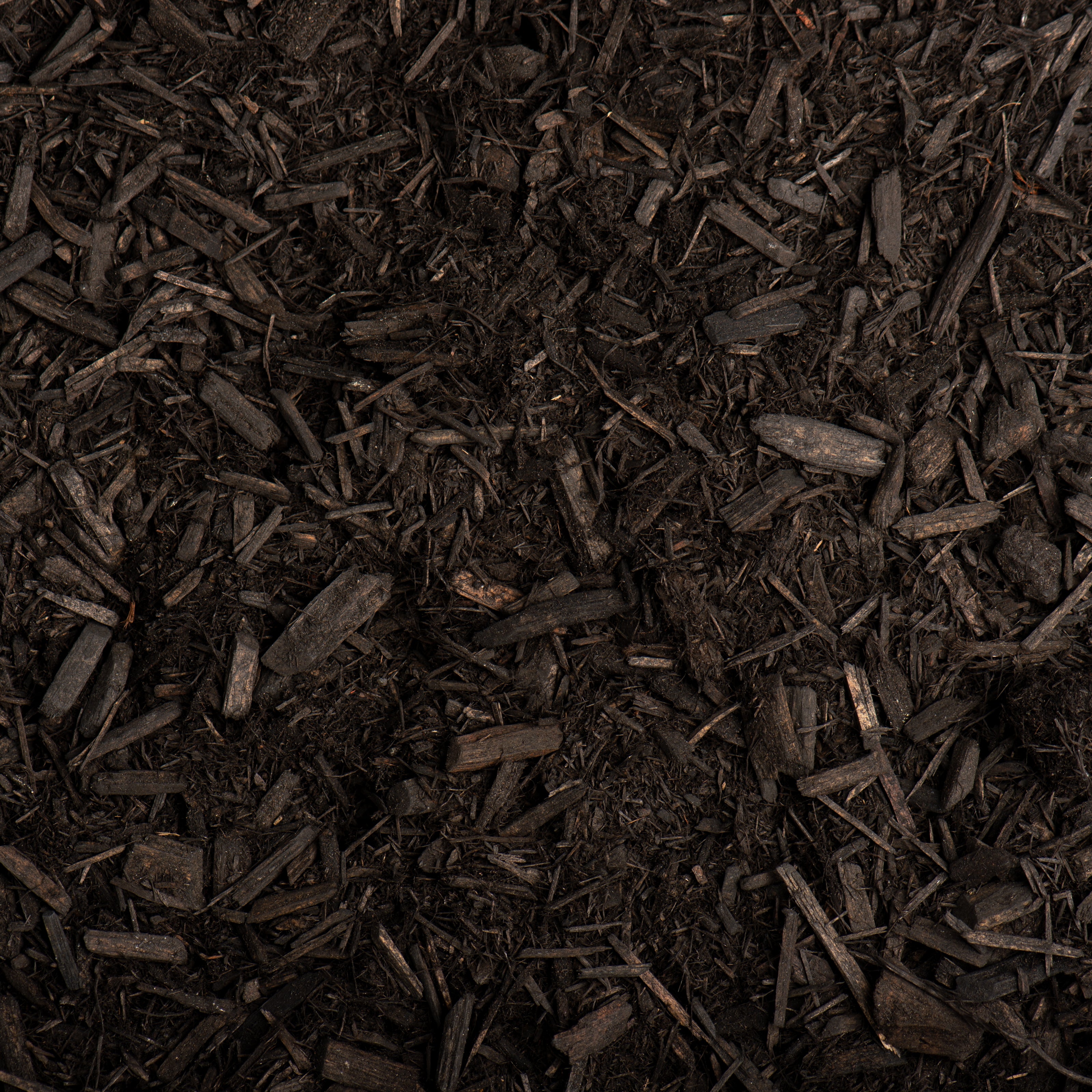 Close-up of dark brown mulch or compost