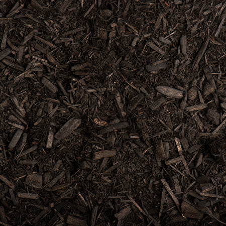 Close-up of dark brown mulch or compost