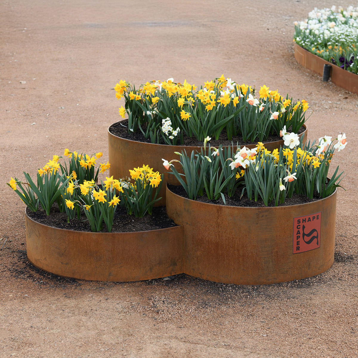 Rust-colored metal planters with flowers on a brown surface