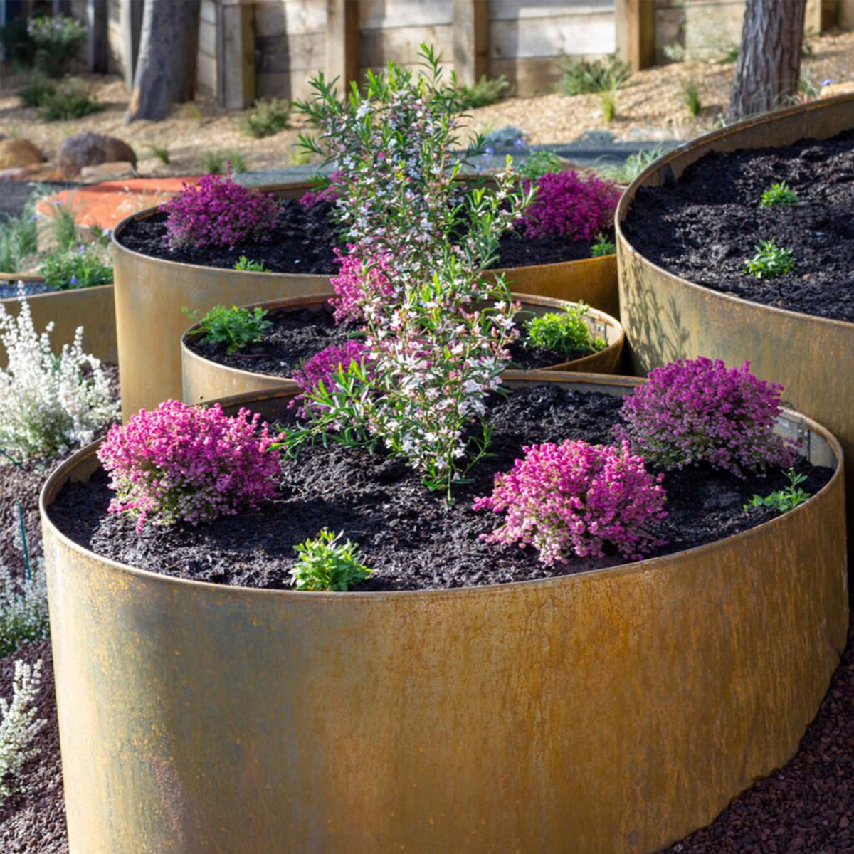 Decorative metal planters with purple flowers and greenery in a garden setting.