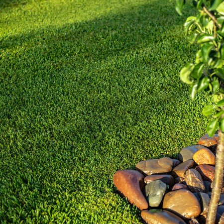 Twin View Turf Stampede Hybrid Buffalo Turf showing lush, green synthetic grass with realistic texture and dense blades.