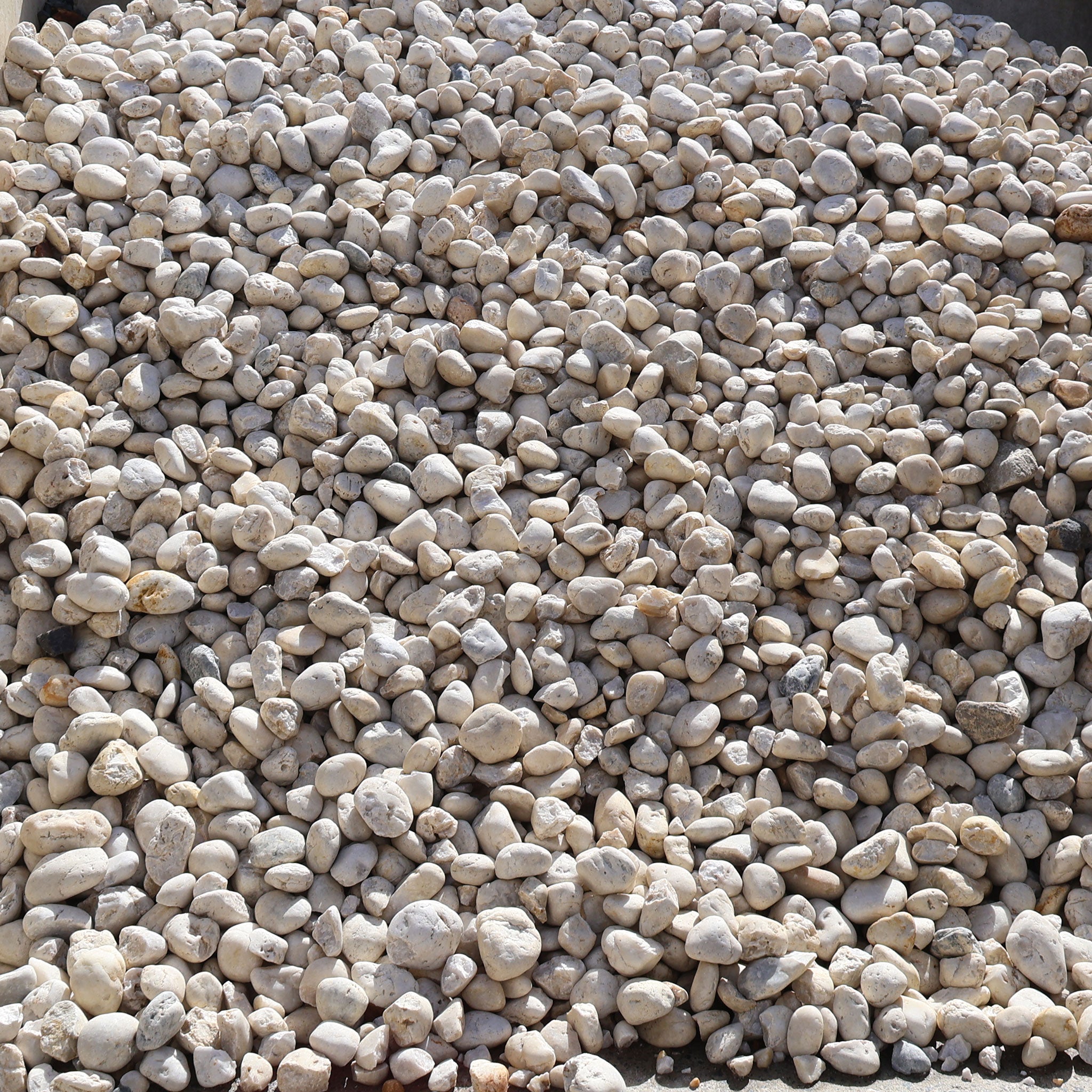 Close-up of small white to beige pebbles