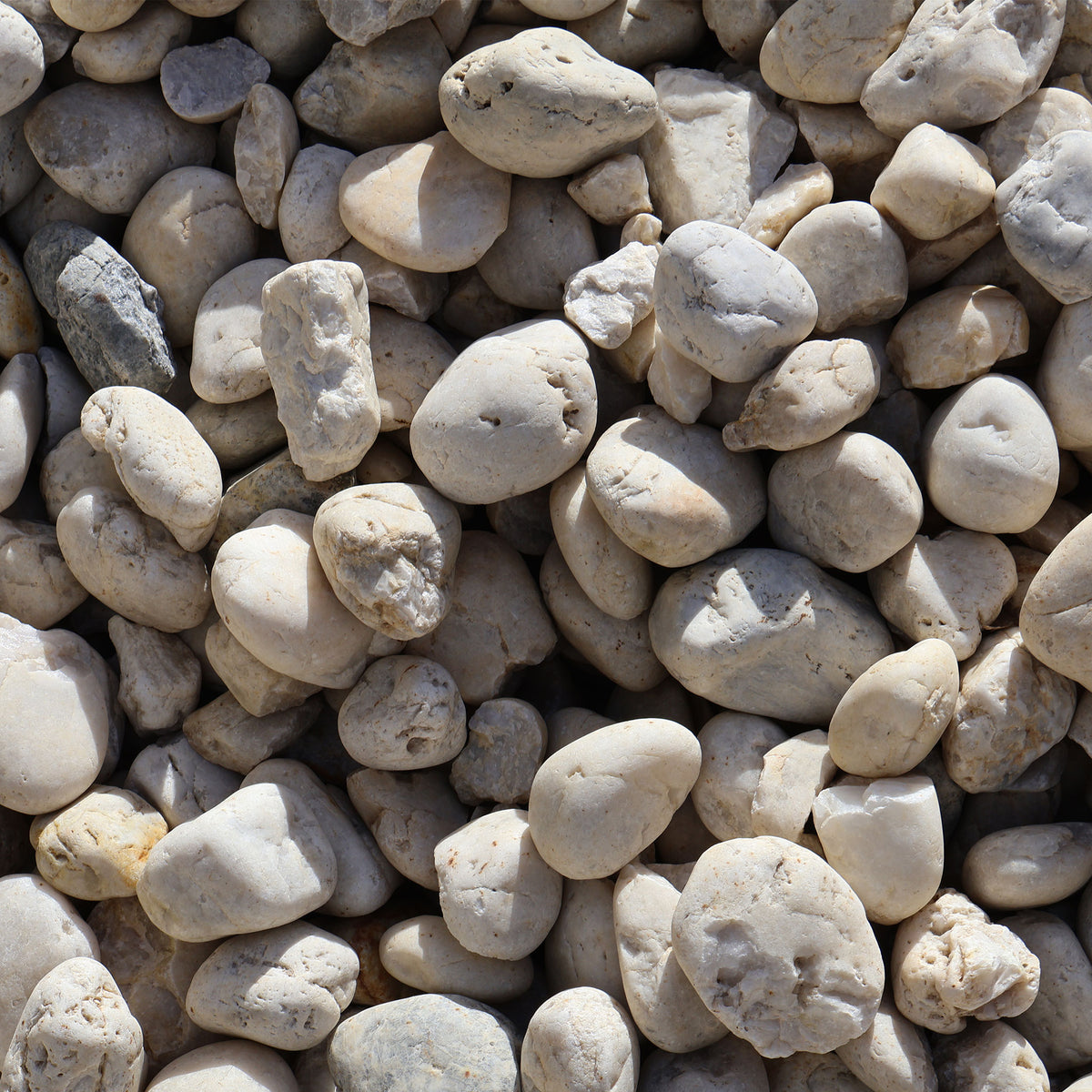 Close-up of small pebbles and stones