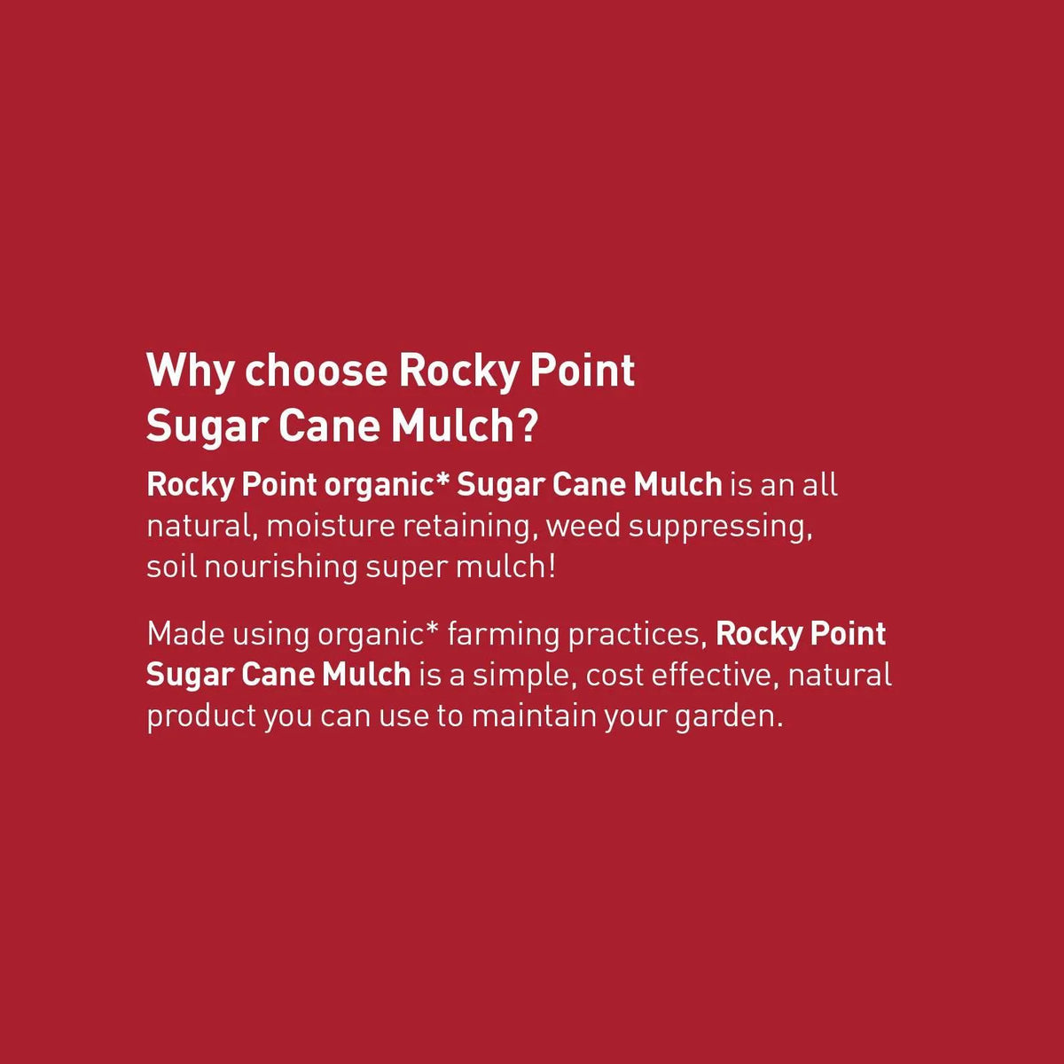 Rocky Point Sugar Cane Mulch ground cover with shredded sugar cane for garden landscaping and soil moisture retention.