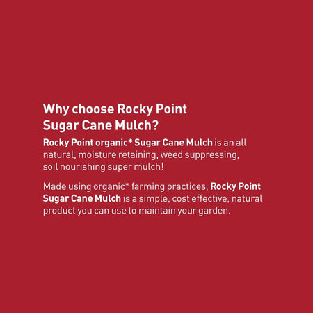 Rocky Point Sugar Cane Mulch ground cover with shredded sugar cane for garden landscaping and soil moisture retention.