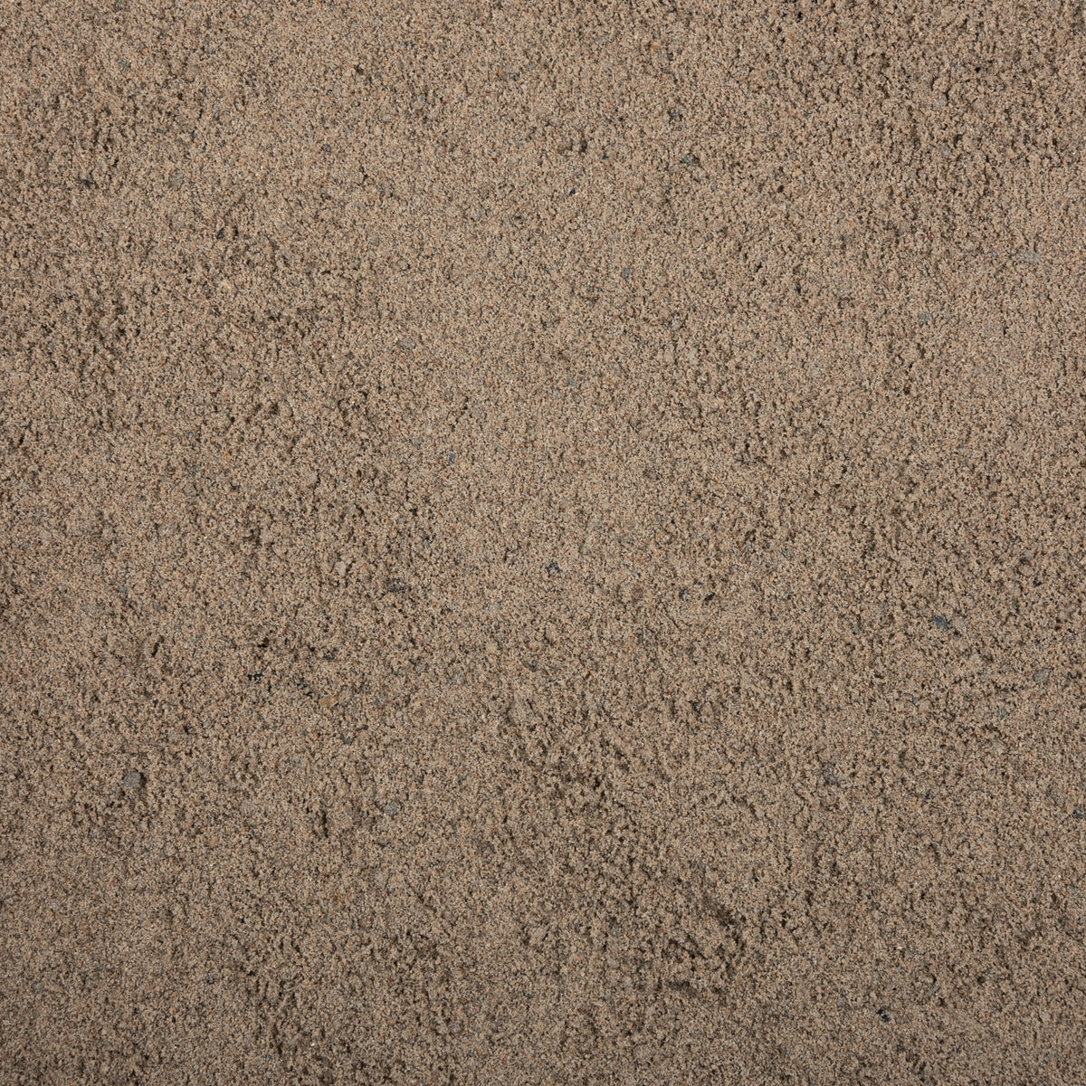 Close-up of beige sand texture