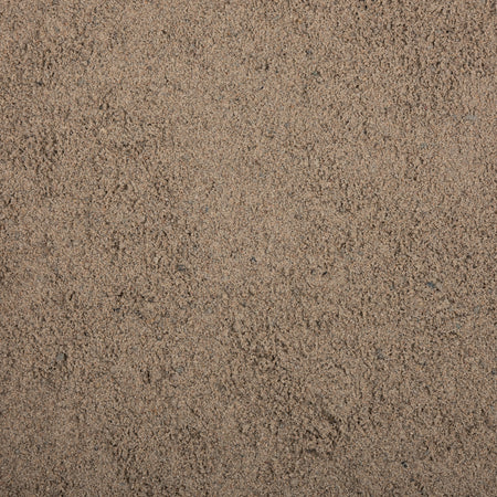 Close-up of beige sand texture