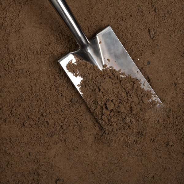 shovel in fillsand 