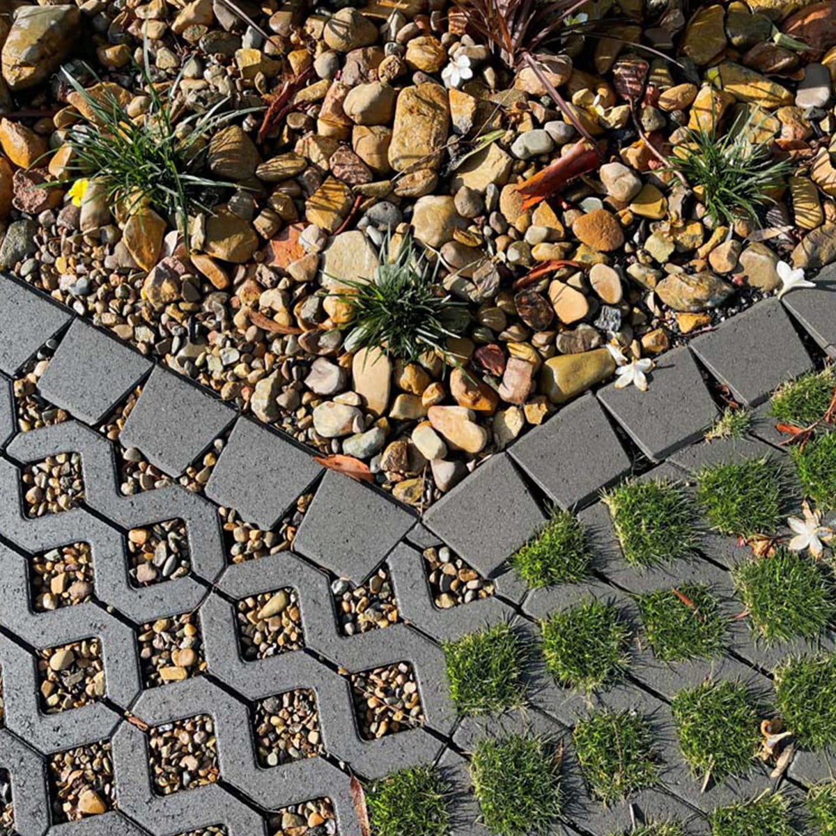 Geometric stone pathway with small plants and pebbles