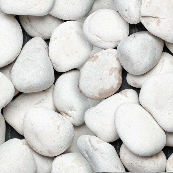 Ivory Pebbles Kashmiri- Ivory Natural Pebbles – Rock and Soil