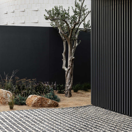 Modern outdoor setting with a tree, rocks, and a black wall.