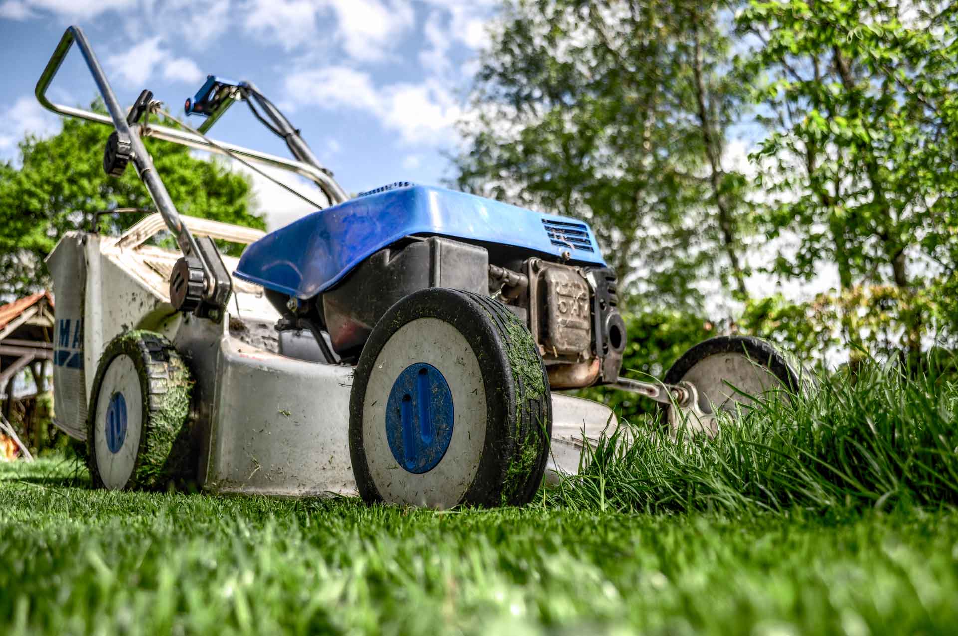 image of blue mower on lush green lawn with trees in the background for candy soils