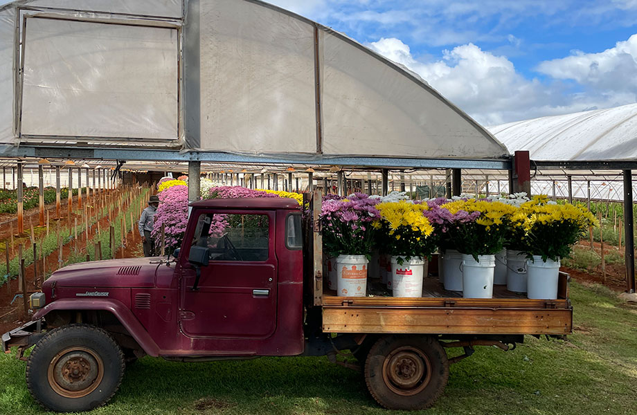 truck on the flower farm