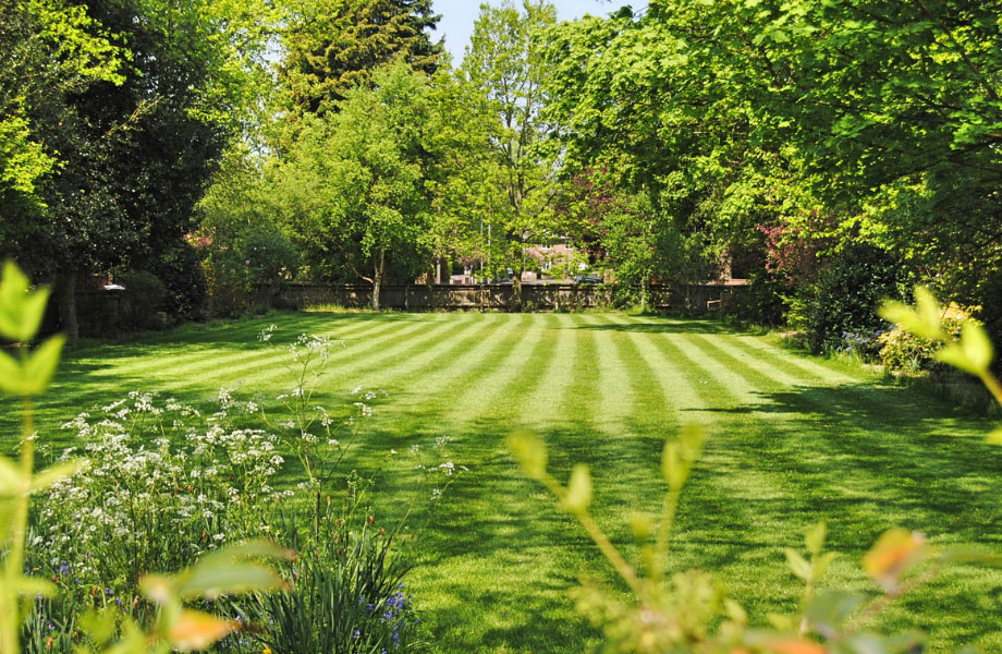 beautiful-garden-with-manicured-lawn