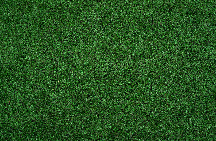 emerald green lawn