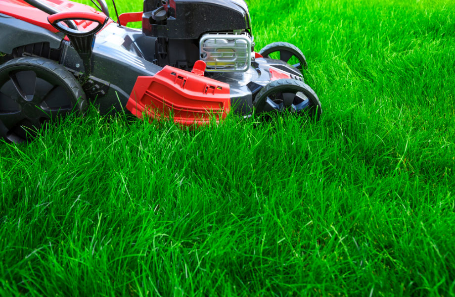 mowing-a-lawn