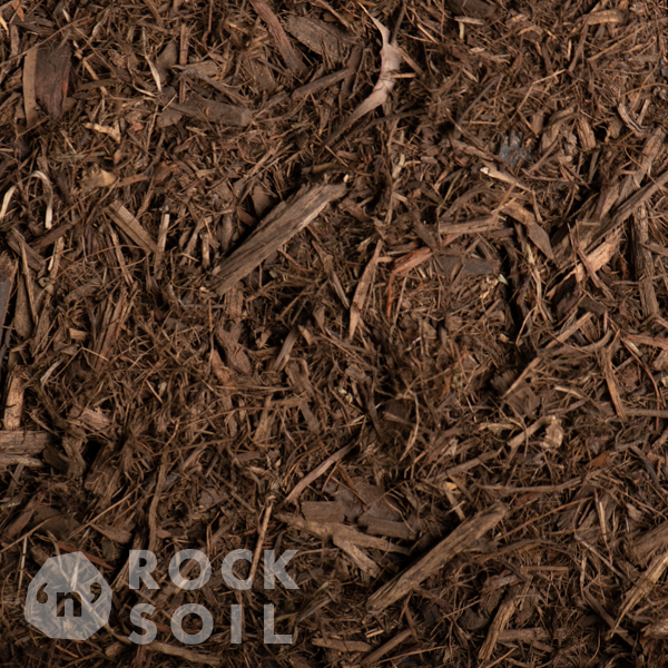 Forest-FinesD4S_4976-watermarked.png