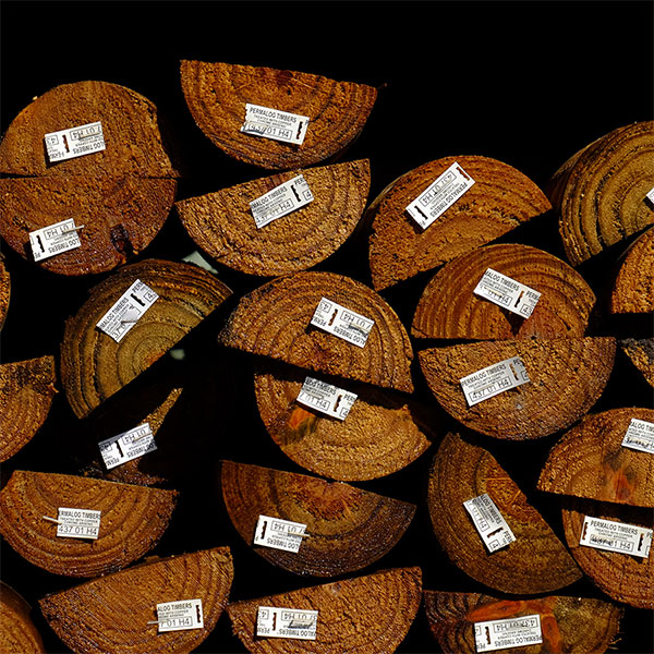 pine-split-logs.jpg