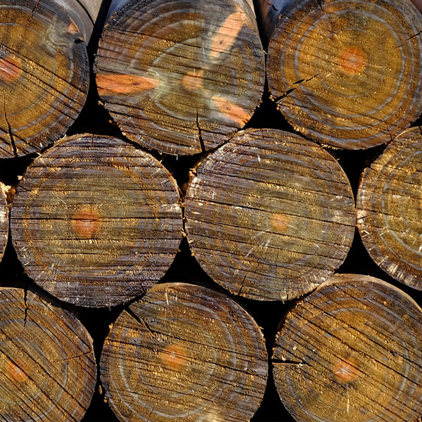 timber-logs.jpg