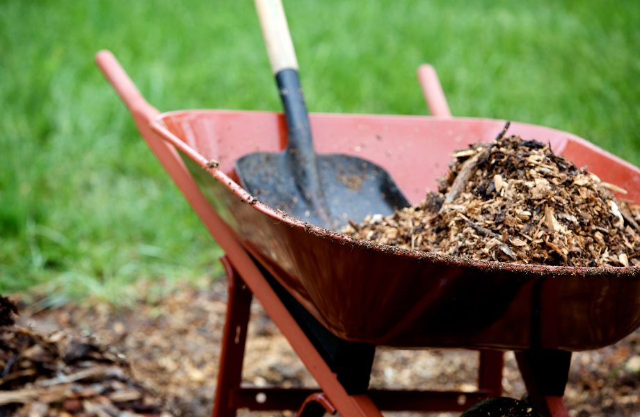 mulch in a red wheelbarrow with a shovel and a green lawn background for when should I mulch my garden