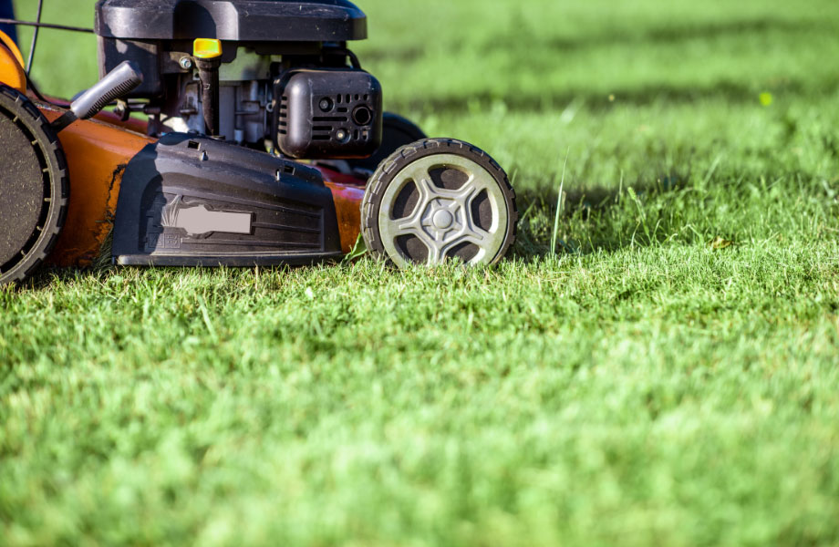 lawn-mower-cutting-grass